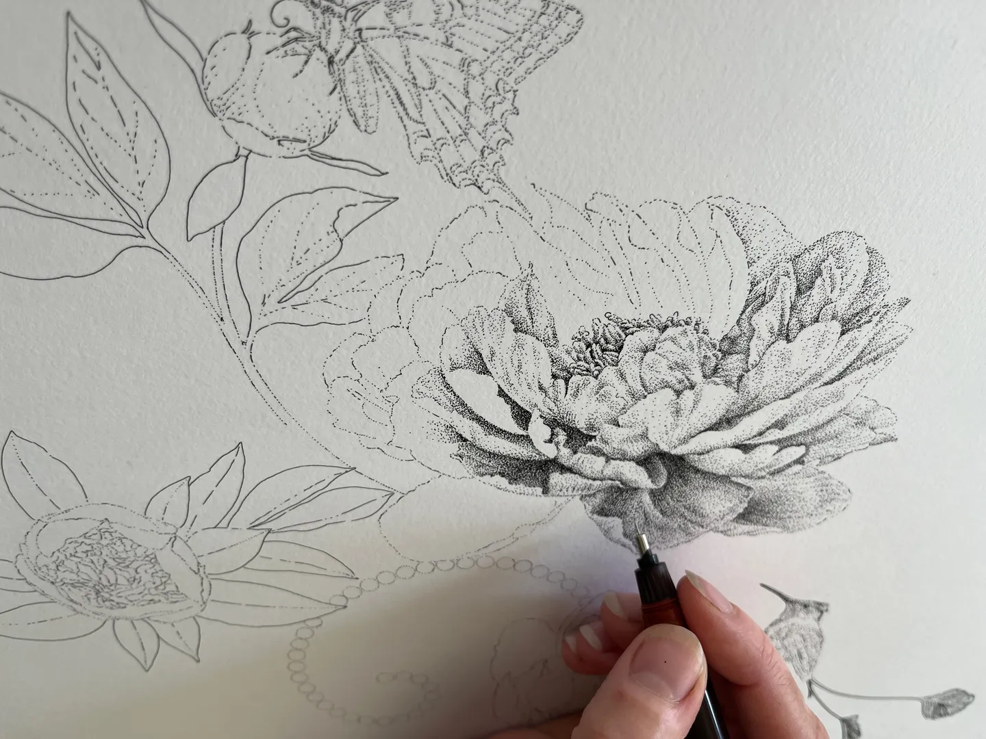 A hand shades a detailed flower drawing in pencil while surrounding leaves remain outlined.